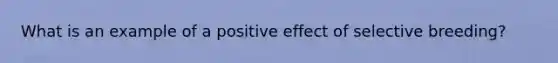 What is an example of a positive effect of selective breeding?