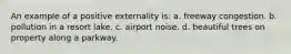 An example of a positive externality is: a. freeway congestion. b. pollution in a resort lake. c. airport noise. d. beautiful trees on property along a parkway.