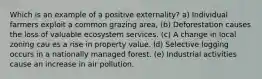 Which is an example of a positive externality? a) Individual farmers exploit a common grazing area, (b) Deforestation causes the loss of valuable ecosystem services. (c) A change in local zoning cau es a rise in property value. Id) Selective logging occurs in a nationally managed forest. (e) Industrial activities cause an increase in air pollution.