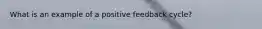 What is an example of a positive feedback cycle?