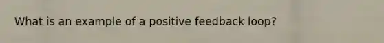 What is an example of a positive feedback loop?