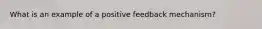 What is an example of a positive feedback mechanism?