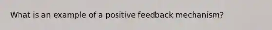 What is an example of a positive feedback mechanism?