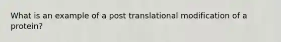 What is an example of a post translational modification of a protein?