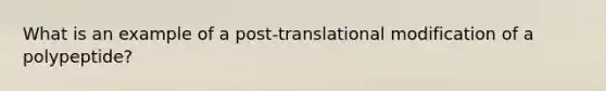 What is an example of a post-translational modification of a polypeptide?