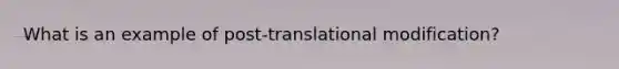 What is an example of post-translational modification?