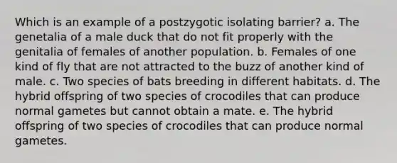 Which is an example of a postzygotic isolating barrier? a. The genetalia of a male duck that do not fit properly with the genitalia of females of another population. b. Females of one kind of fly that are not attracted to the buzz of another kind of male. c. Two species of bats breeding in different habitats. d. The hybrid offspring of two species of crocodiles that can produce normal gametes but cannot obtain a mate. e. The hybrid offspring of two species of crocodiles that can produce normal gametes.