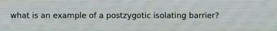 what is an example of a postzygotic isolating barrier?