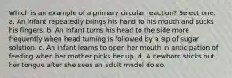 Which is an example of a primary circular reaction? Select one: a. An infant repeatedly brings his hand to his mouth and sucks his fingers. b. An infant turns his head to the side more frequently when head turning is followed by a sip of sugar solution. c. An infant learns to open her mouth in anticipation of feeding when her mother picks her up. d. A newborn sticks out her tongue after she sees an adult model do so.