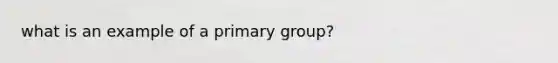 what is an example of a primary group?