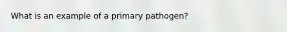 What is an example of a primary pathogen?