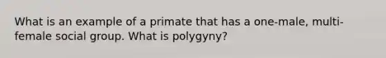 What is an example of a primate that has a one-male, multi-female social group. What is polygyny?