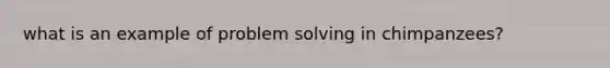 what is an example of problem solving in chimpanzees?