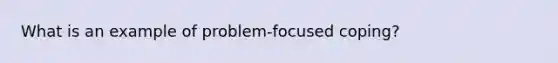 What is an example of problem-focused coping?