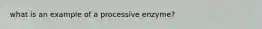 what is an example of a processive enzyme?