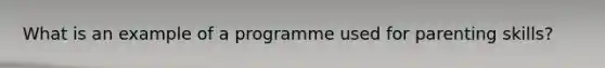 What is an example of a programme used for parenting skills?