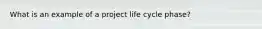 What is an example of a project life cycle phase?