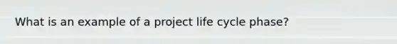 What is an example of a project life cycle phase?