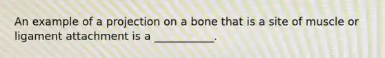 An example of a projection on a bone that is a site of muscle or ligament attachment is a ___________.