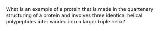 What is an example of a protein that is made in the quartenary structuring of a protein and involves three identical helical polypeptides inter winded into a larger triple helix?