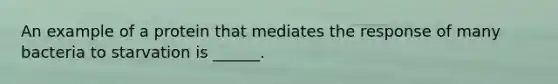 An example of a protein that mediates the response of many bacteria to starvation is ______.