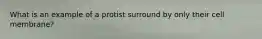 What is an example of a protist surround by only their cell membrane?