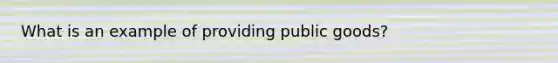 What is an example of providing public goods?