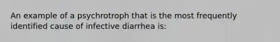 An example of a psychrotroph that is the most frequently identified cause of infective diarrhea is: