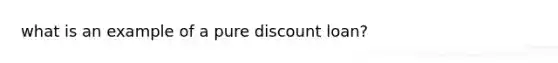 what is an example of a pure discount loan?