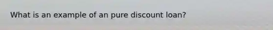 What is an example of an pure discount loan?