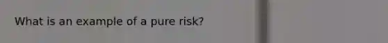 What is an example of a pure risk?