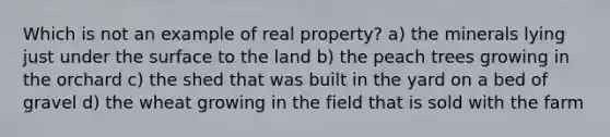 Which is not an example of real property? a) the minerals lying just under the surface to the land b) the peach trees growing in the orchard c) the shed that was built in the yard on a bed of gravel d) the wheat growing in the field that is sold with the farm