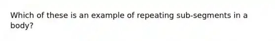 Which of these is an example of repeating sub-segments in a body?