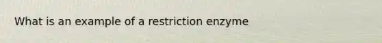 What is an example of a restriction enzyme