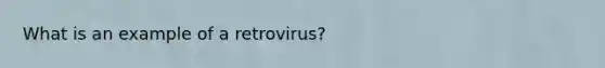 What is an example of a retrovirus?