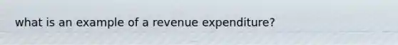 what is an example of a revenue expenditure?