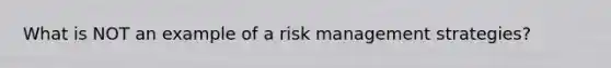 What is NOT an example of a risk management strategies?