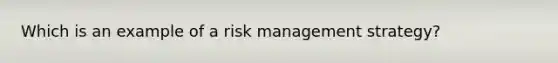 Which is an example of a risk management strategy?