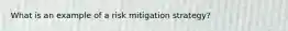 What is an example of a risk mitigation strategy?