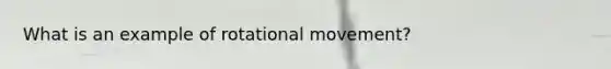 What is an example of rotational movement?