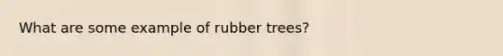 What are some example of rubber trees?