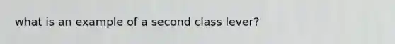 what is an example of a second class lever?