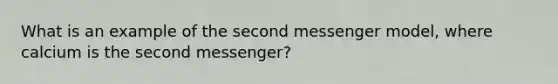 What is an example of the second messenger model, where calcium is the second messenger?