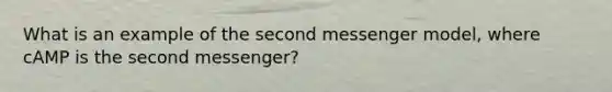 What is an example of the second messenger model, where cAMP is the second messenger?