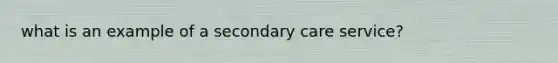 what is an example of a secondary care service?