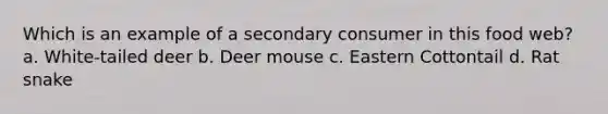 Which is an example of a secondary consumer in this food web? a. White-tailed deer b. Deer mouse c. Eastern Cottontail d. Rat snake