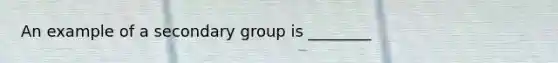 An example of a secondary group is ________