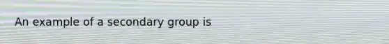 An example of a secondary group is