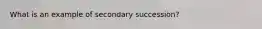 What is an example of secondary succession?