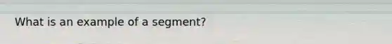 What is an example of a segment?